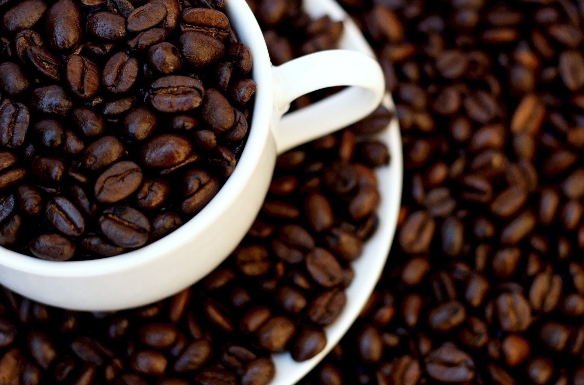 caffè grani tazza bianco marrone macro