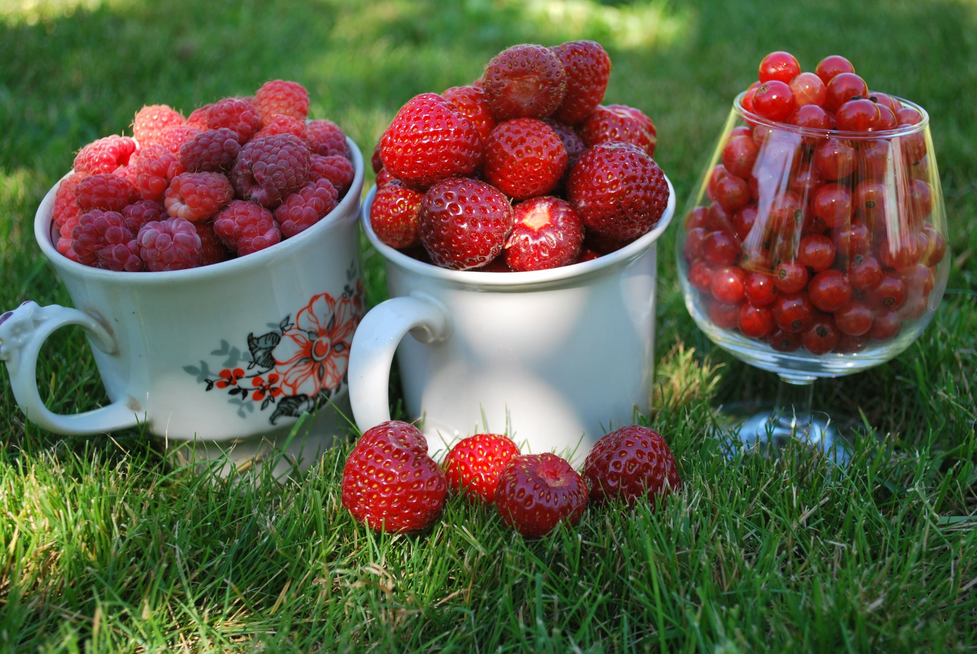 berries raspberry currants red strawberry villa mugs cups glass grass close up