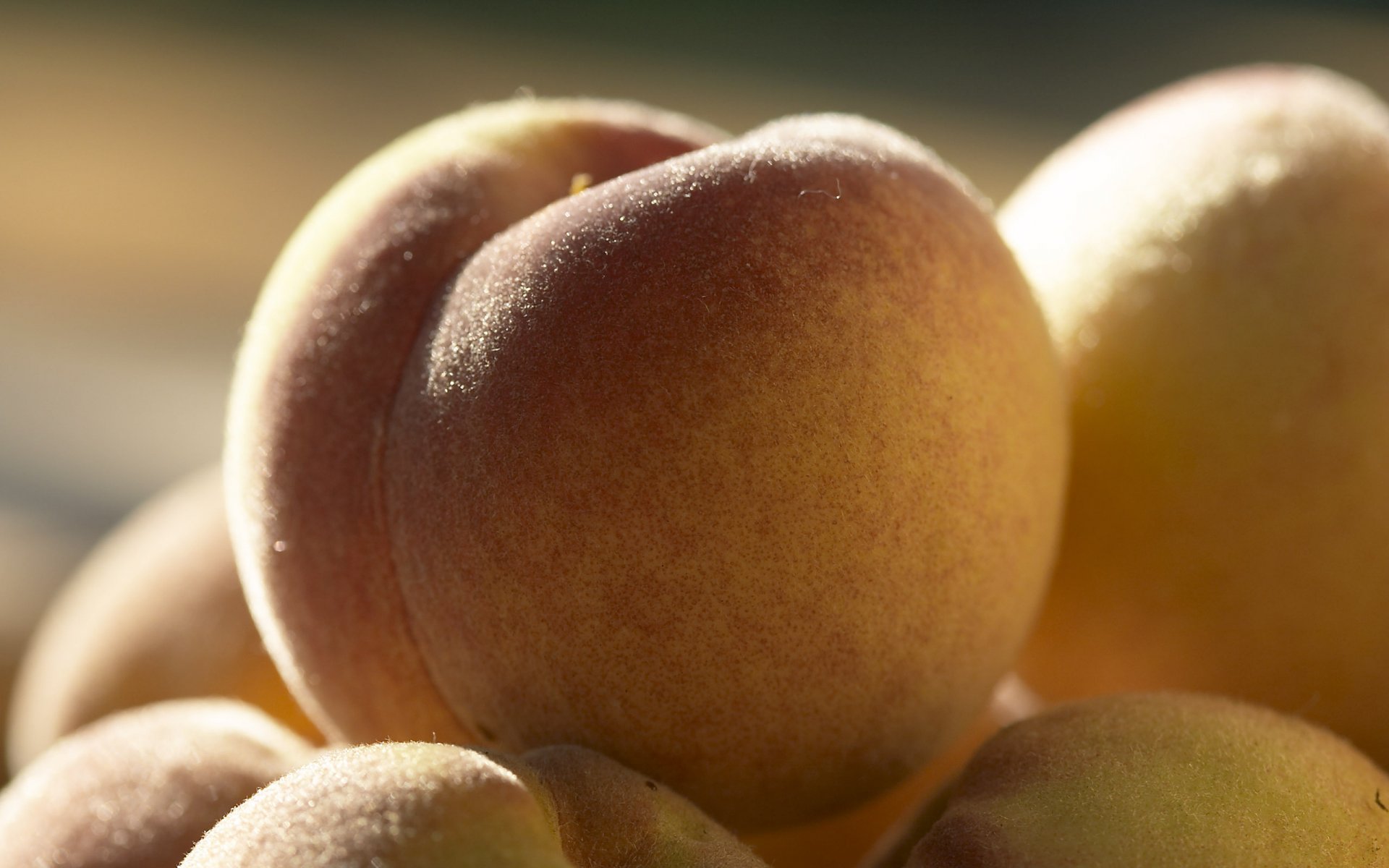 fruit fruit peaches yummy hairy fruit macro peach a