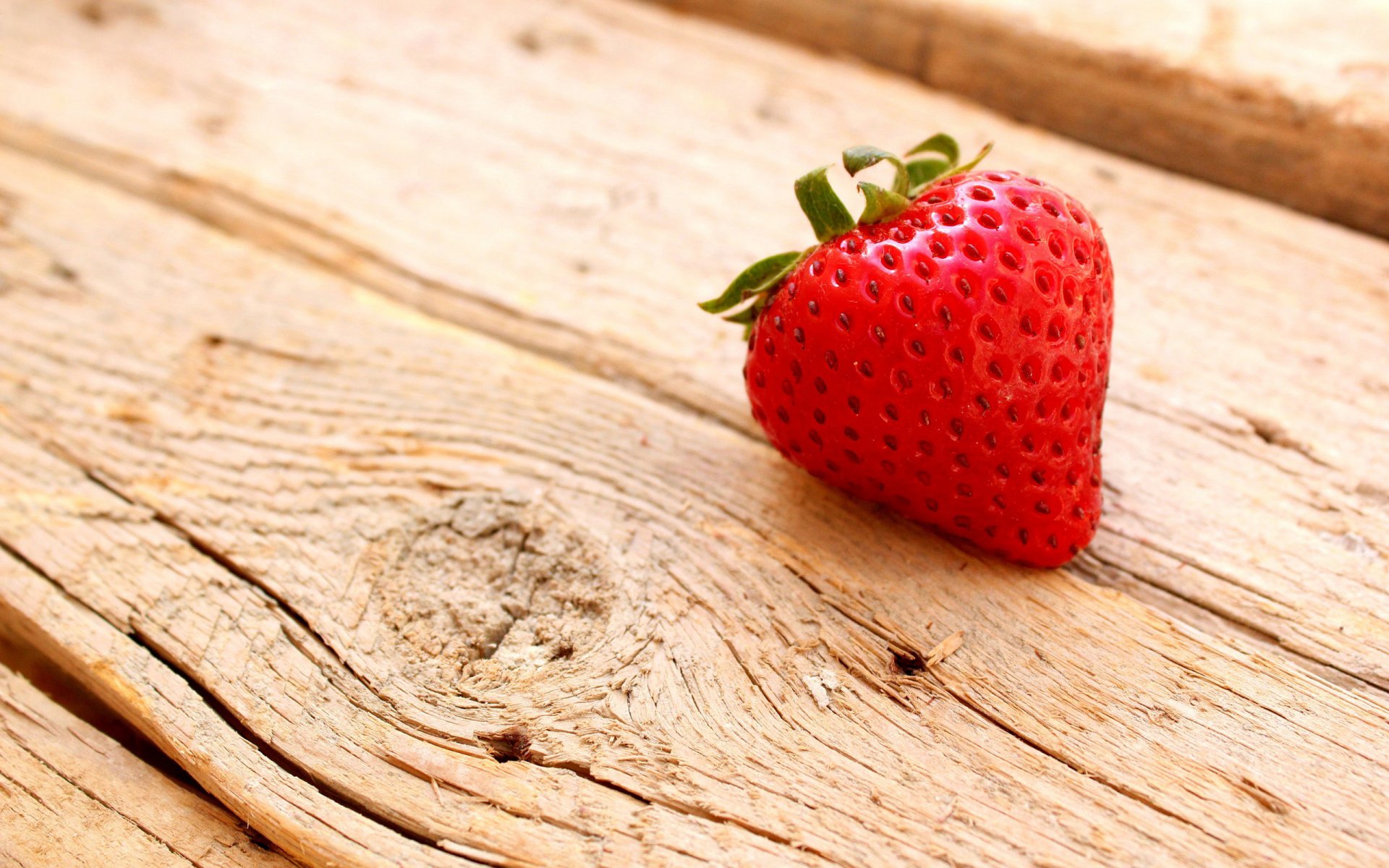 baie fraise gros plan bois planche en bois