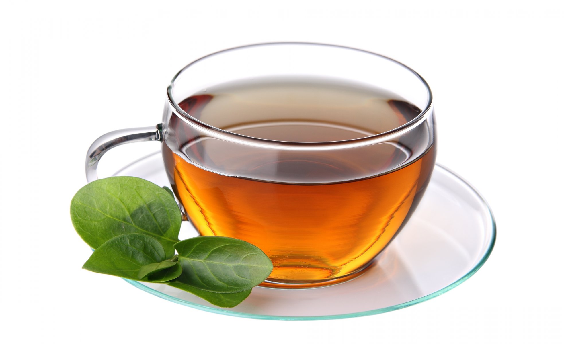 tea cup saucer leaves white background