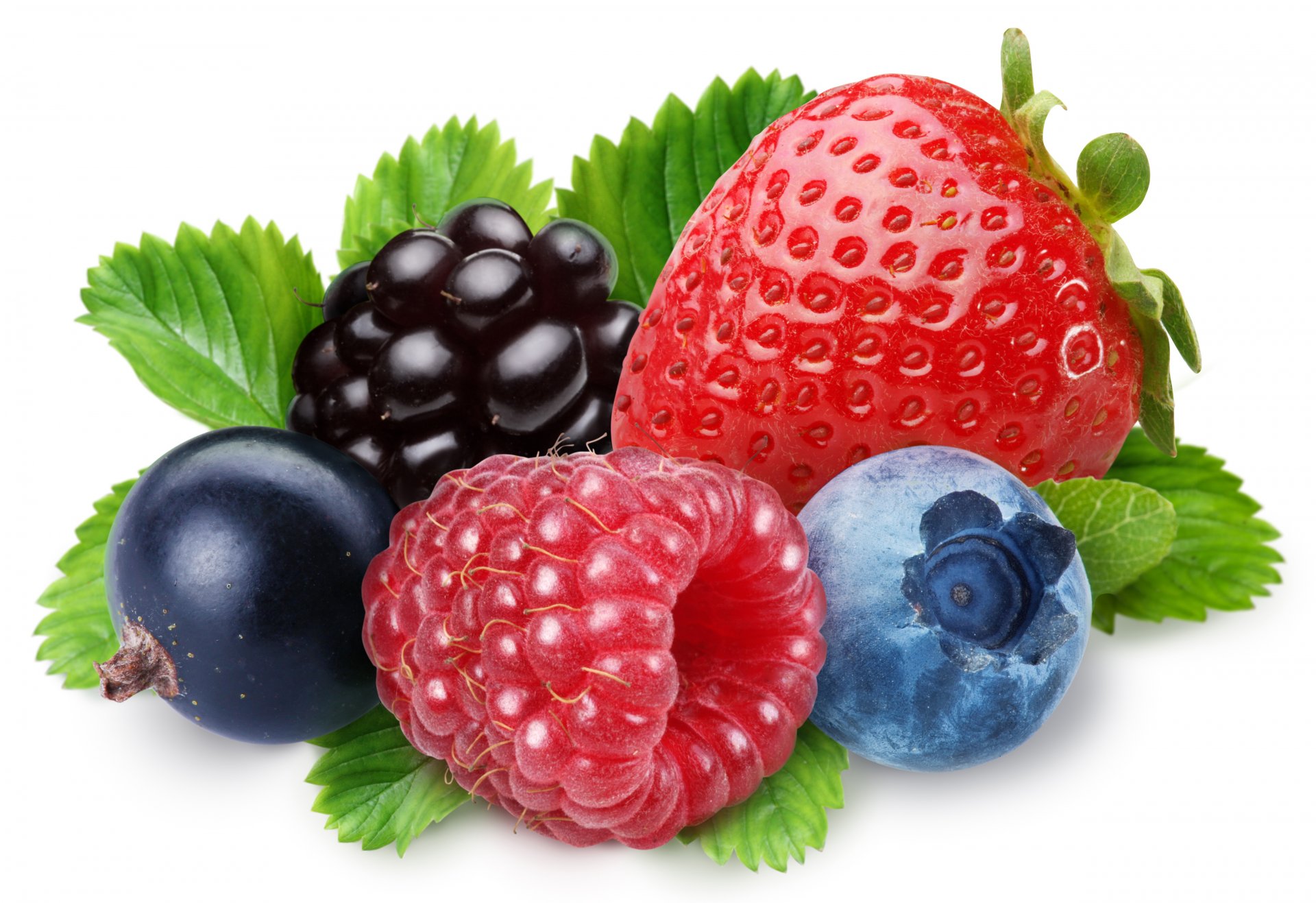 erdbeeren himbeeren brombeeren blaubeeren beeren