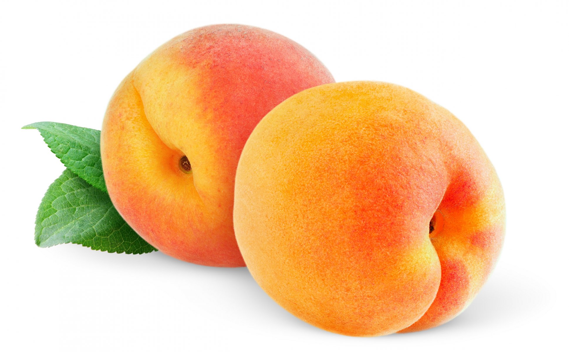 peaches fruits white background