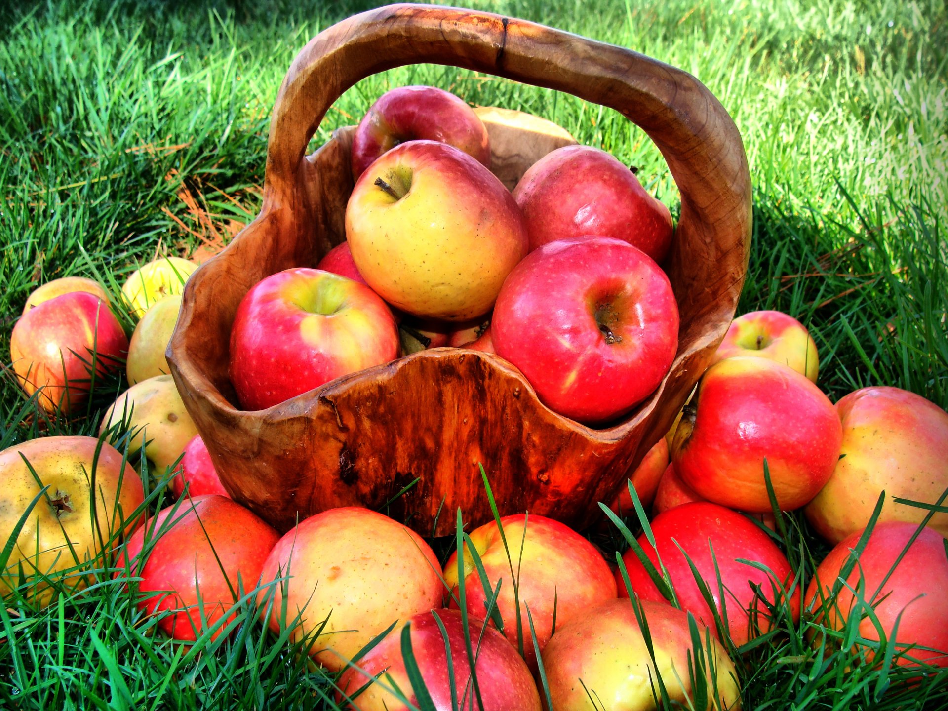 manzanas maduras jugosas rojas fruta comida vitaminas cesta hierba naturaleza verano