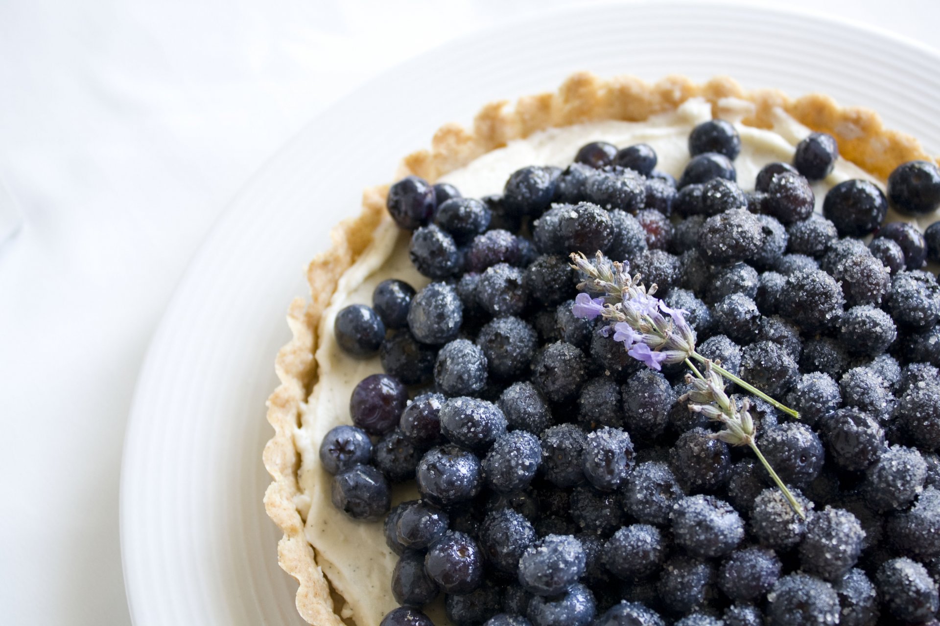 comida tartaleta arándanos baya plato flores lavanda azúcar