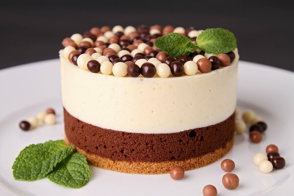 Double-layer chocolate cake with sprinkling balls