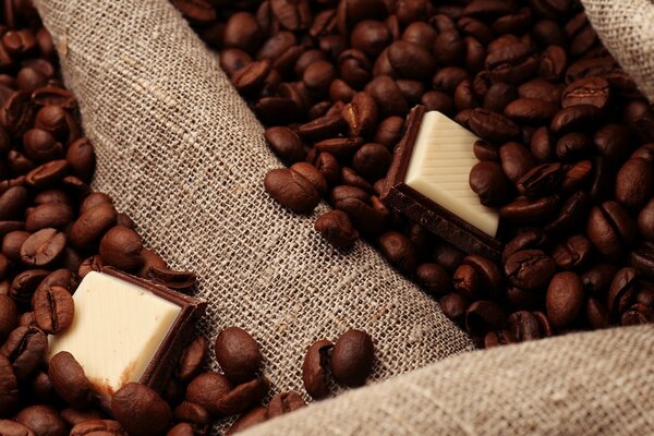 Coffee beans and slices of white-dark chocolate on canvas