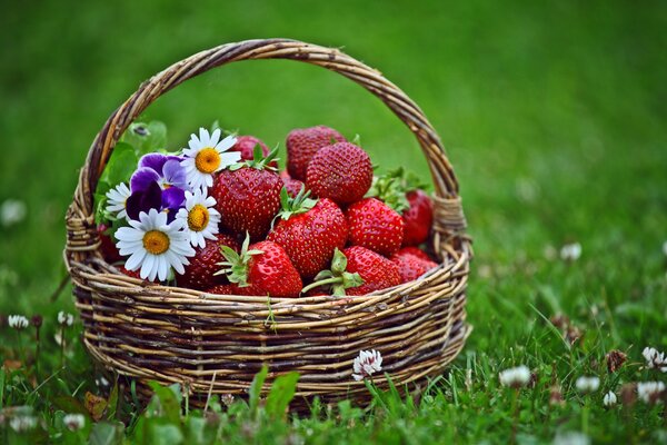 Summer basket with strawberries and flowers