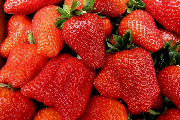 Juicy ripe red strawberries