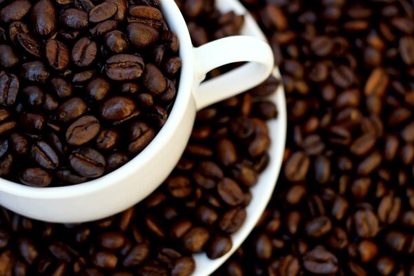 Coffee beans in a white cup