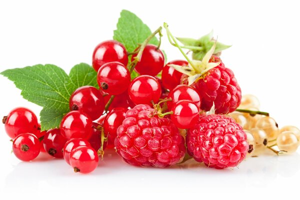 Raspberries, red and white currants