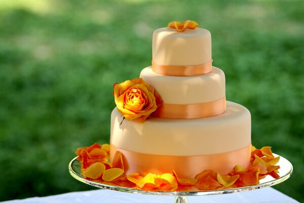 Délicieux grand gâteau avec des rubans orange, qui sont décorés avec des roses jaunes et des pétales