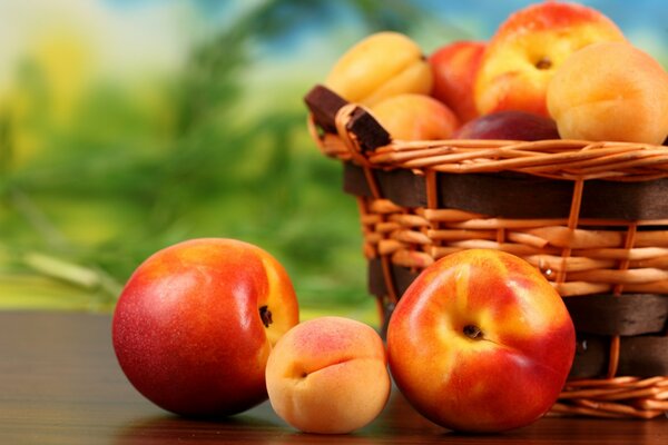 Fruits mûrs et délicieux dans le panier