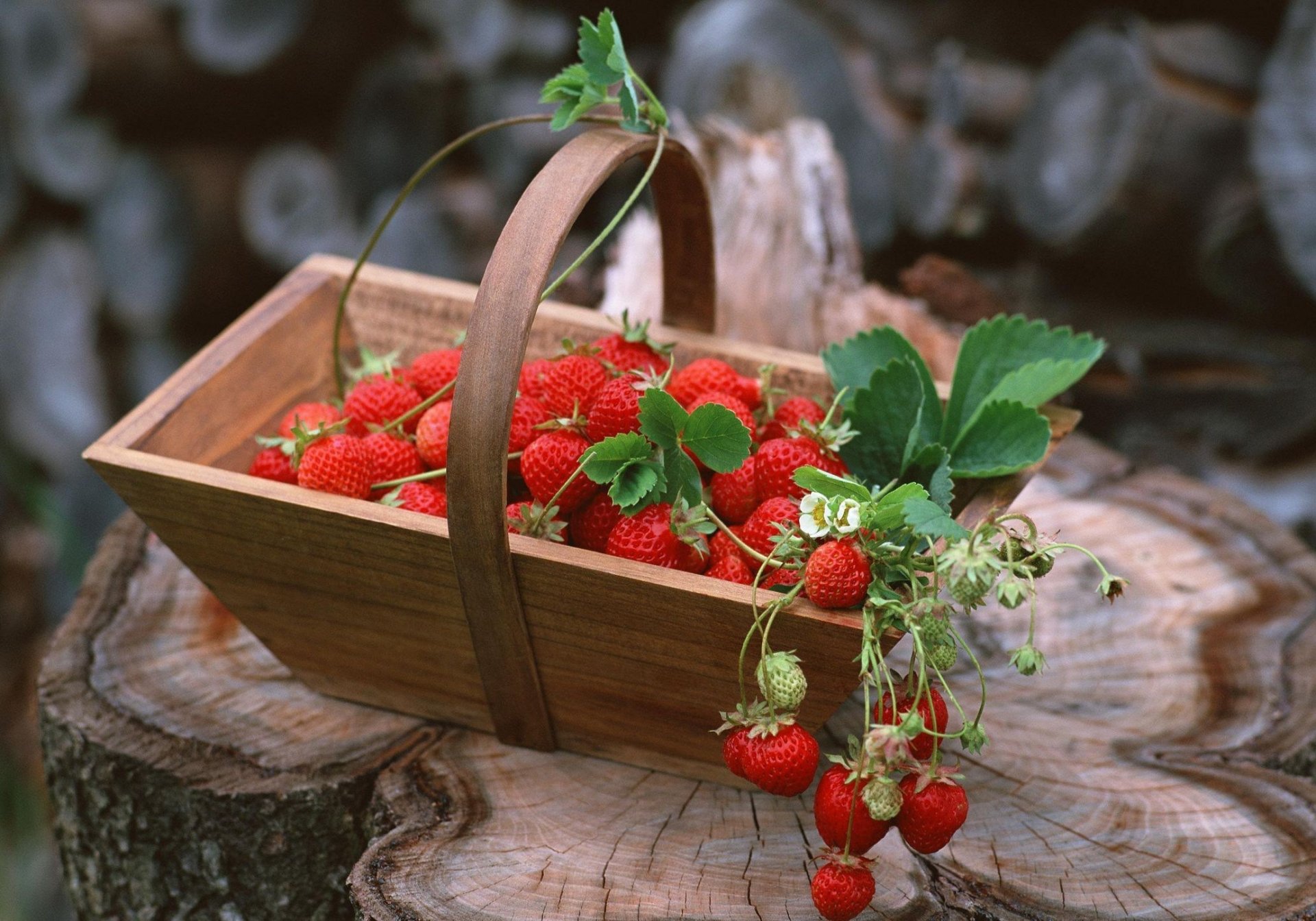 comida bayas fresas