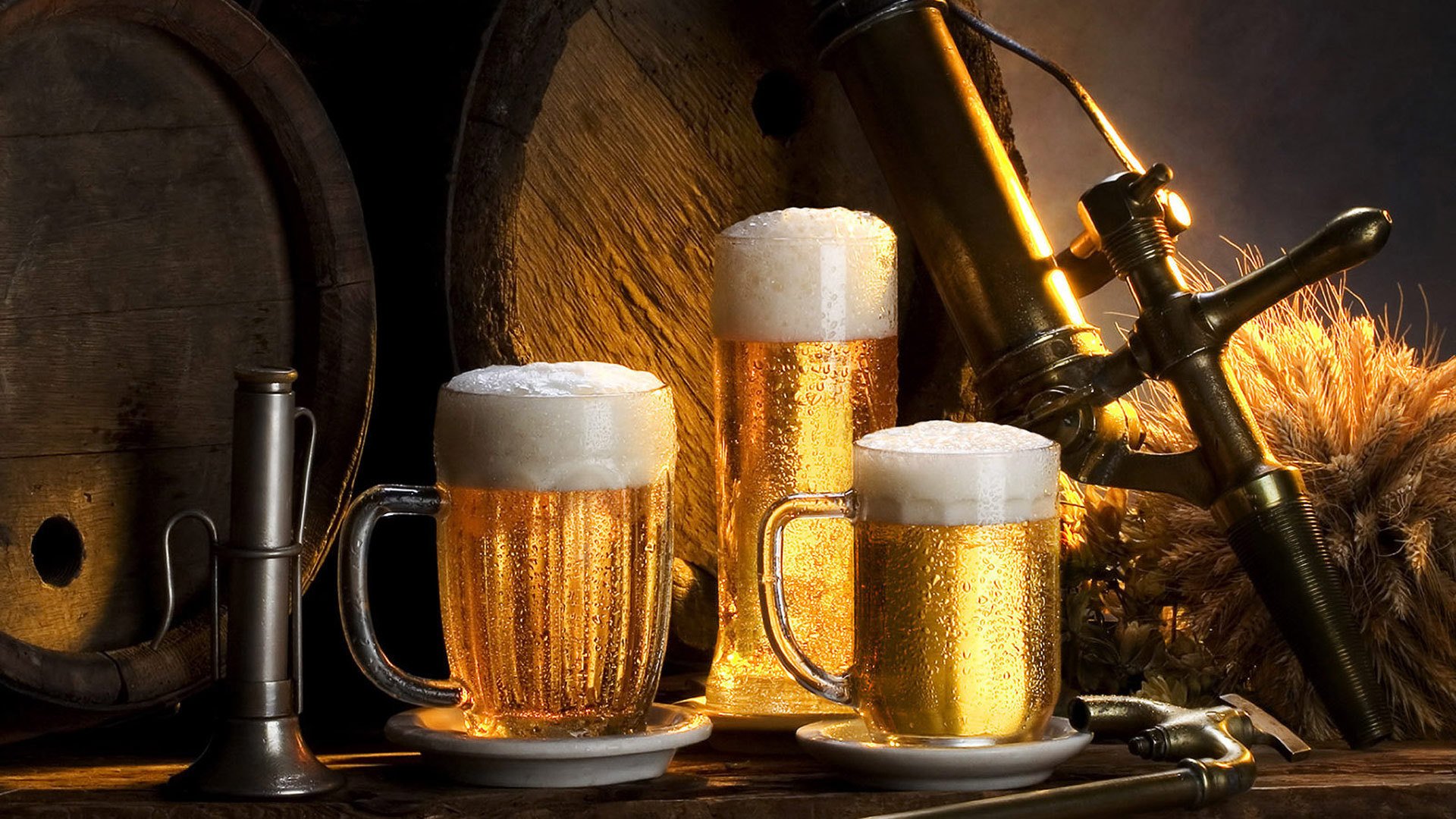bier hopfen fässer bierkrüge