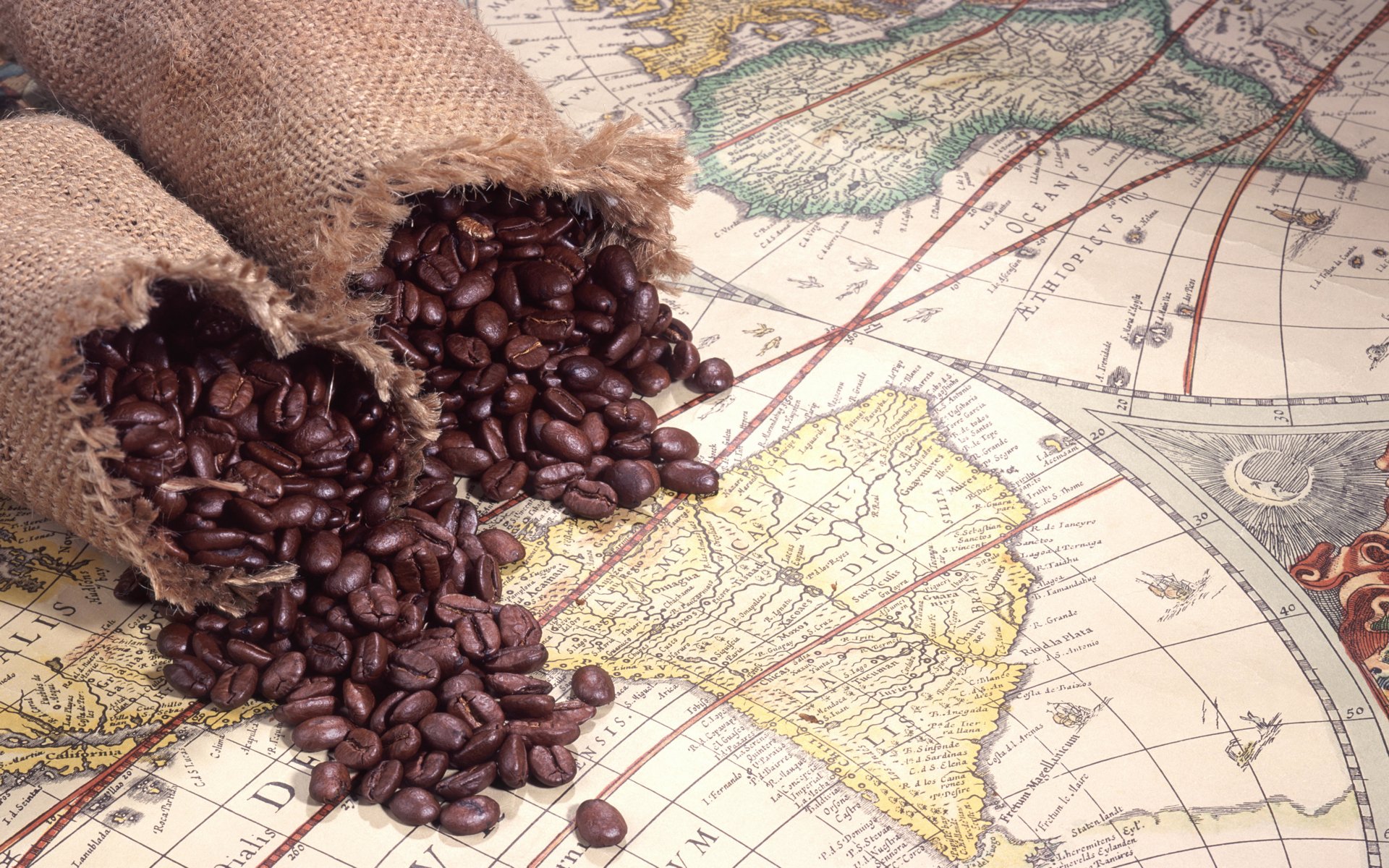 coffee atlas bag