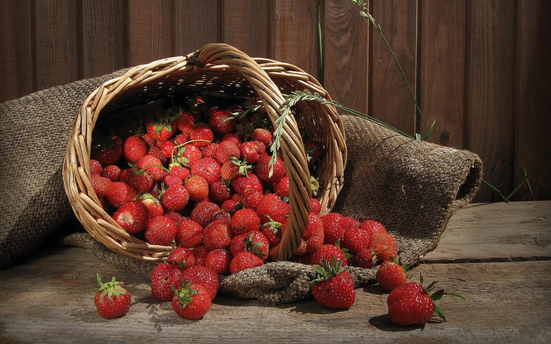 beeren erdbeeren körbchen korb tau baum