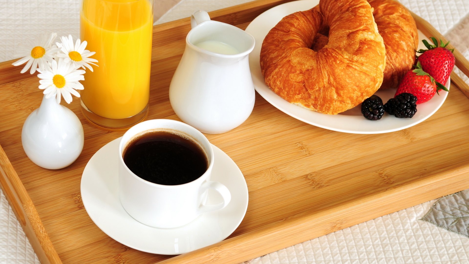 repas petit déjeuner lit café jus d orange bagel croissant baies mûres fraises assiettes verre tasse vase fleurs marguerites plateau lait nourriture lit blackberry plaques verre