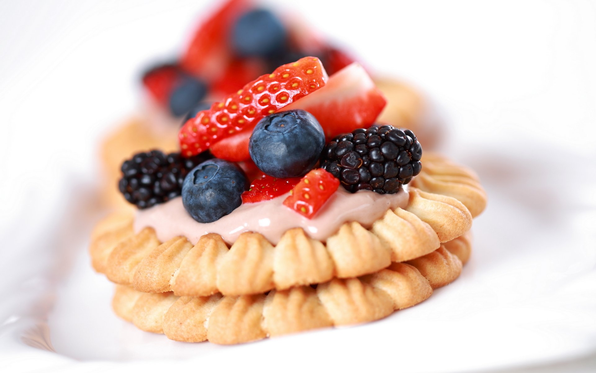 nourriture doux biscuit