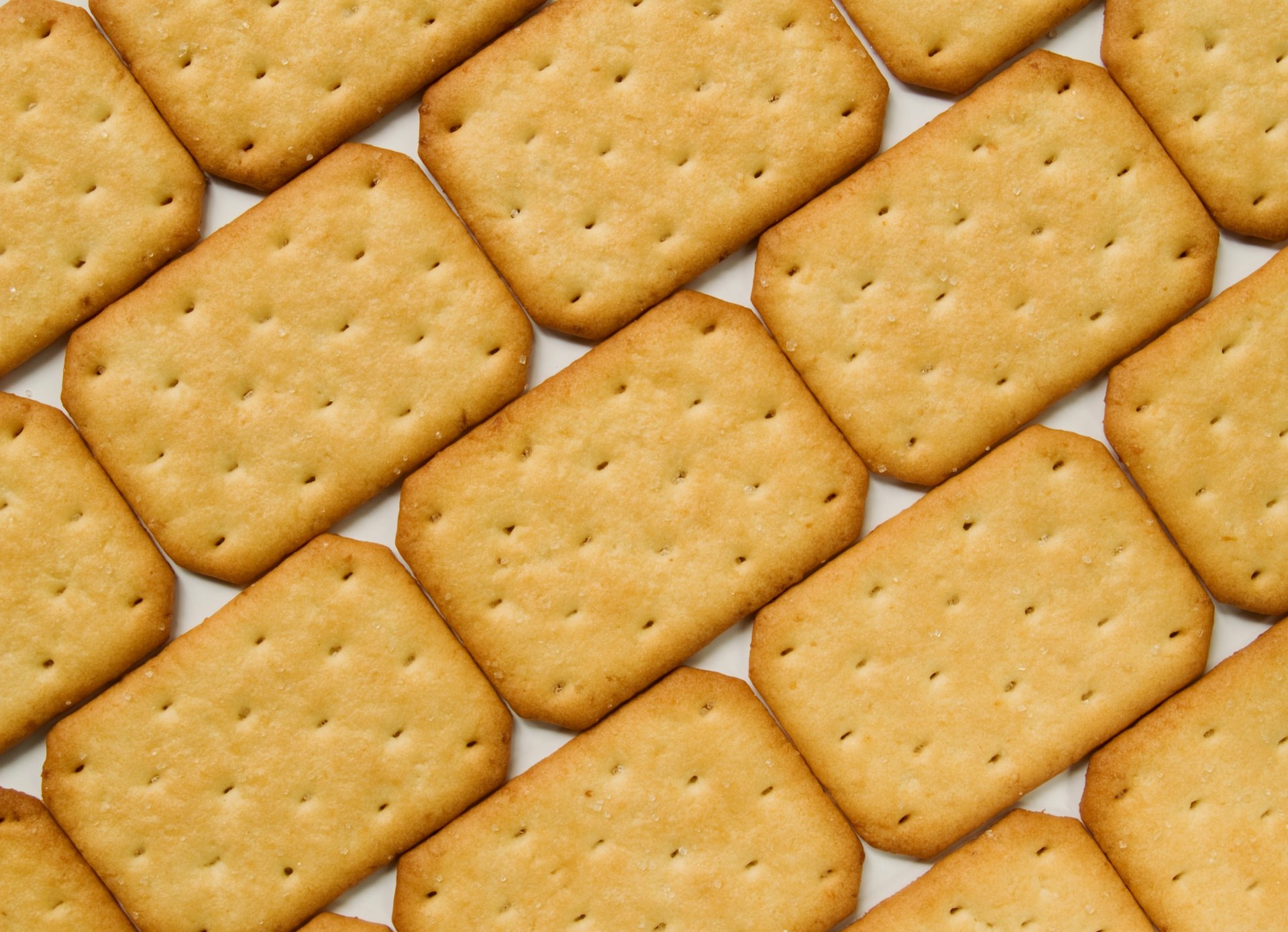 biscuit cracker sel texture