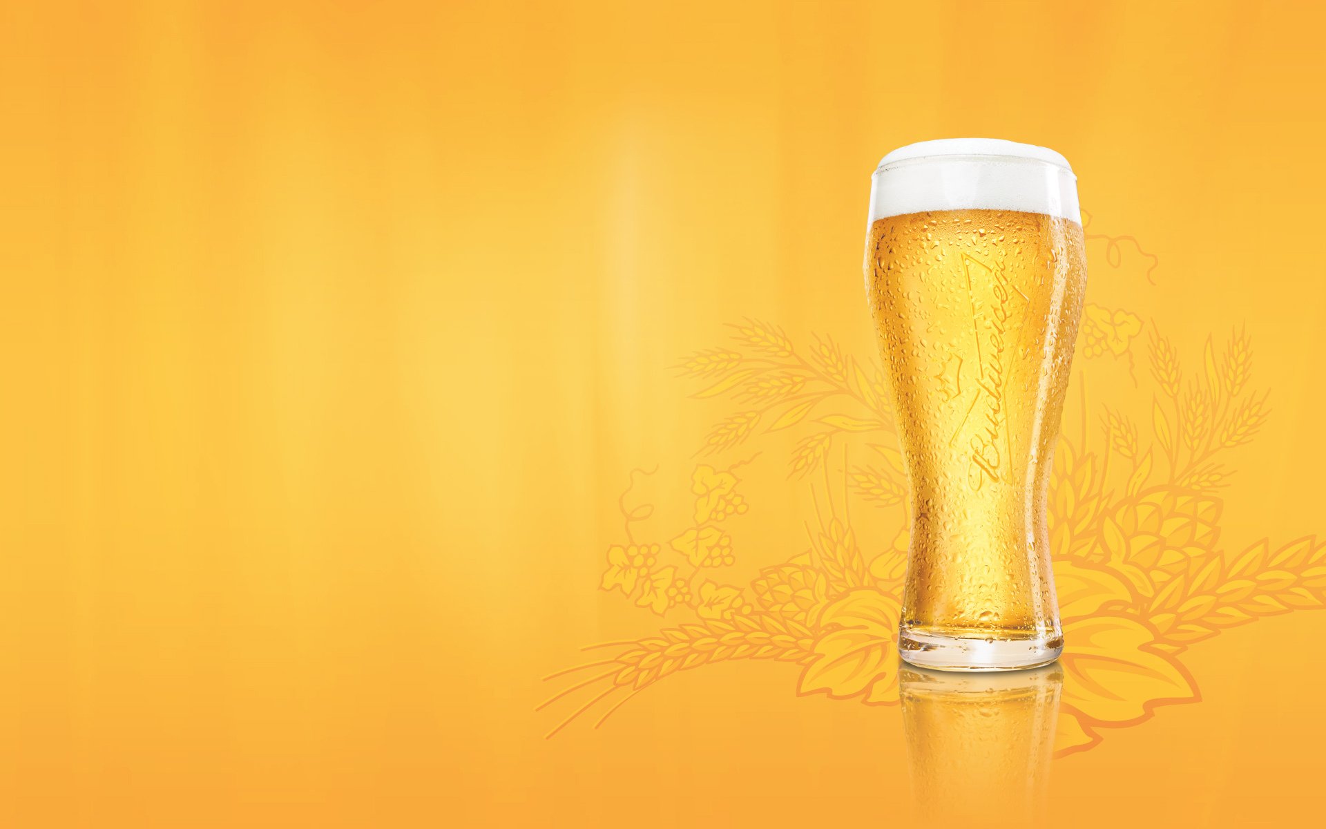 glass beer budweiser foam