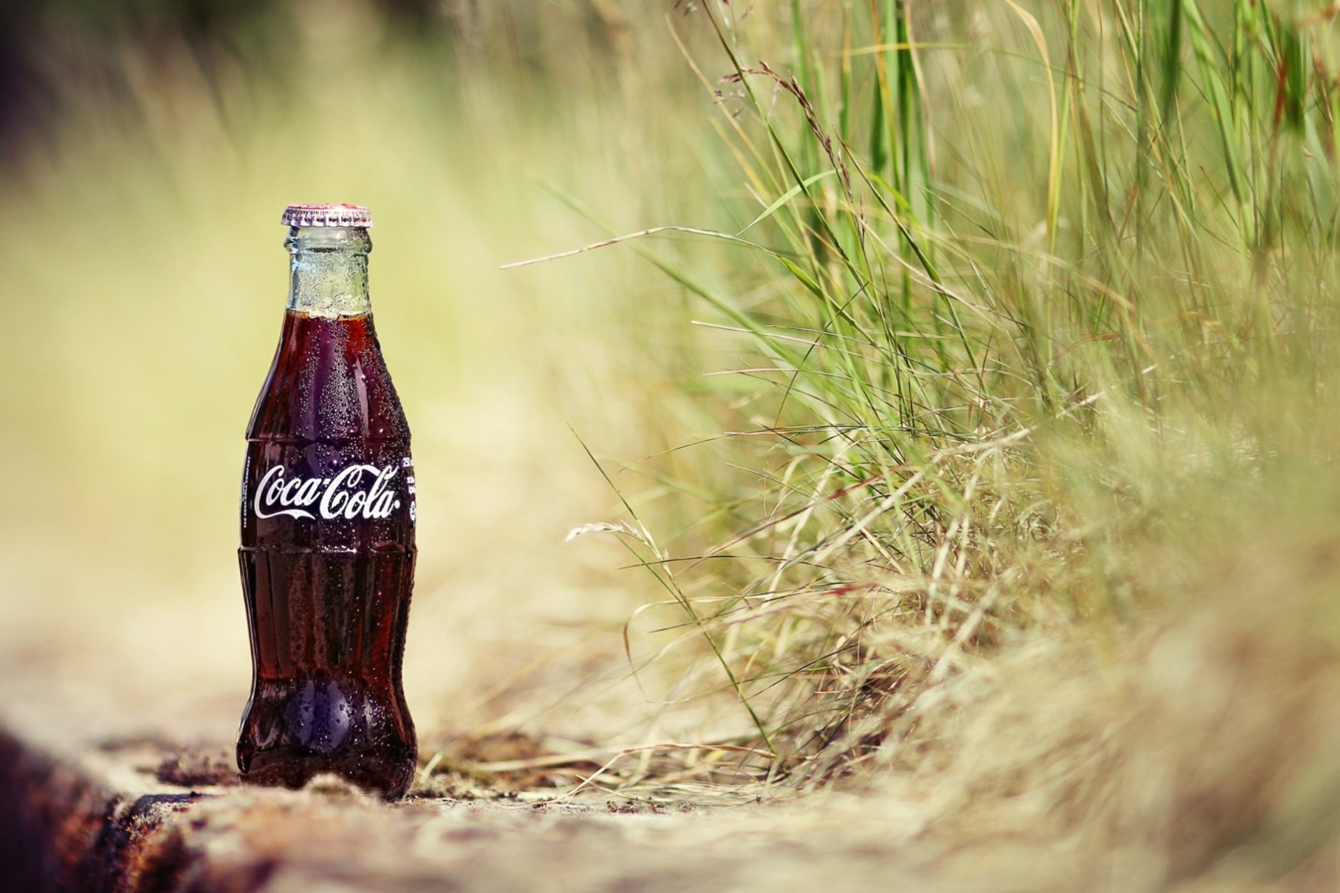 and grass plants a bottle cola drops coca-cola drink soda background wallpaper wallpaper