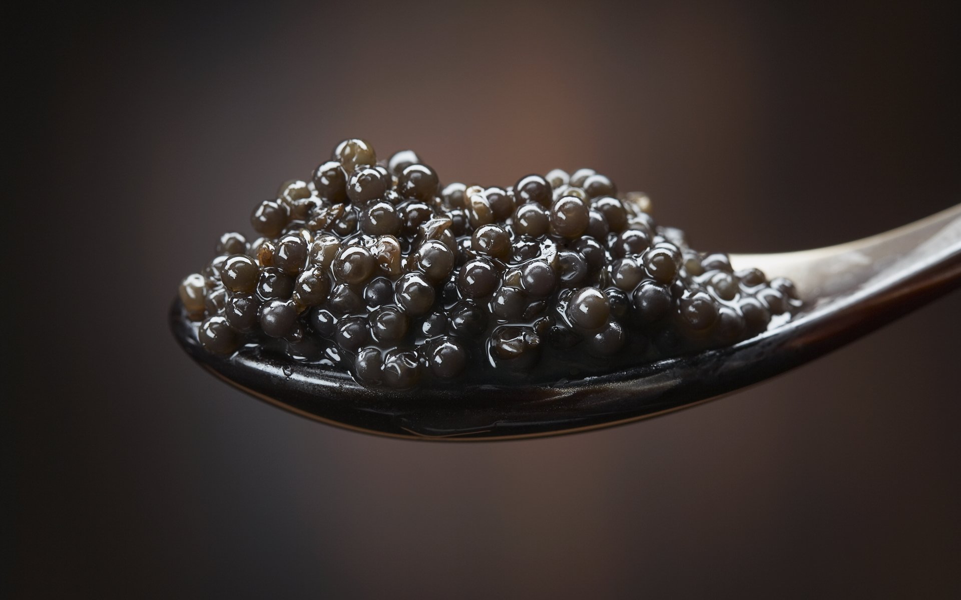close up spoon black caviar delicious yum-yum