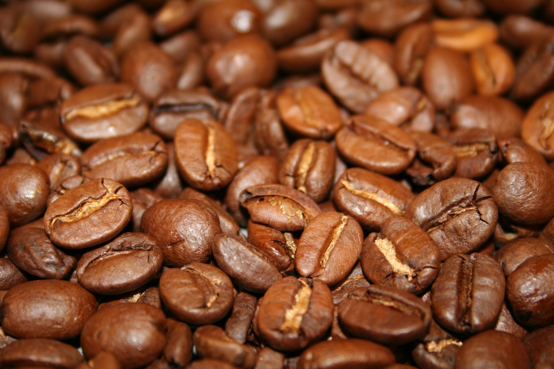 comida café granos de café