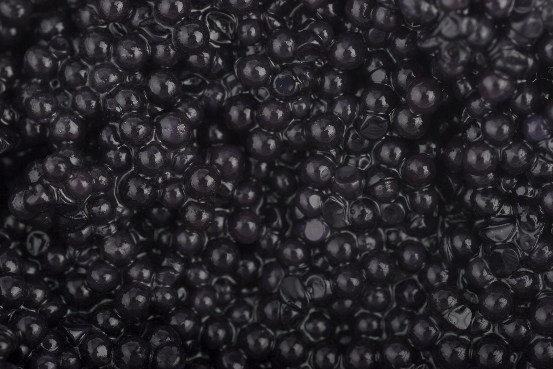 caviar negro granulado