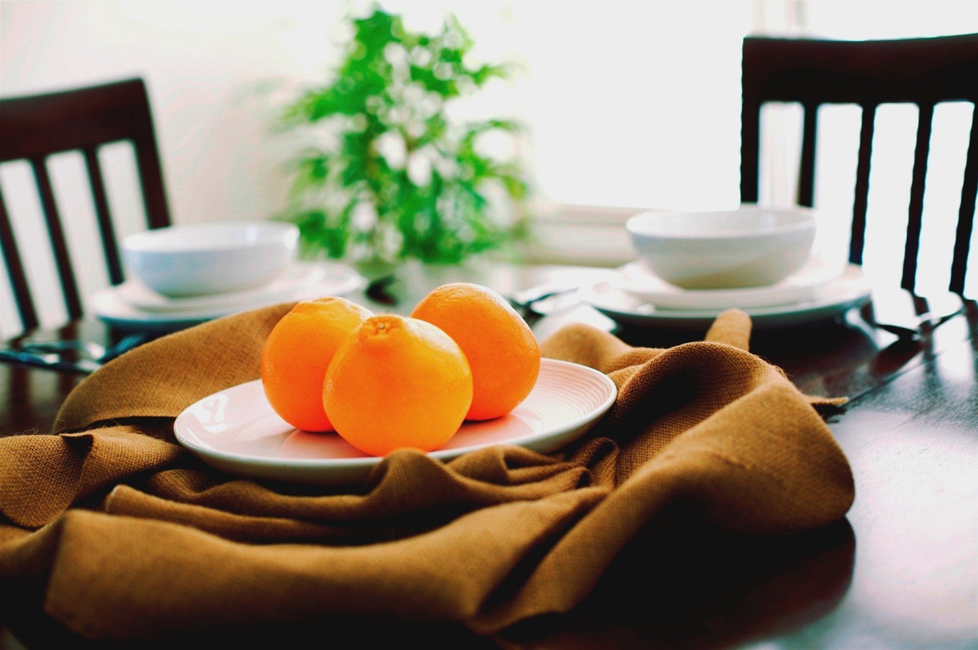 food fruit oranges table chairs plate mug cup saucer dishes kitchen cloth brown orange
