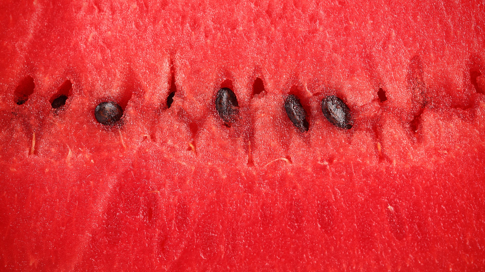 wassermelone fruchtfleisch makro beere