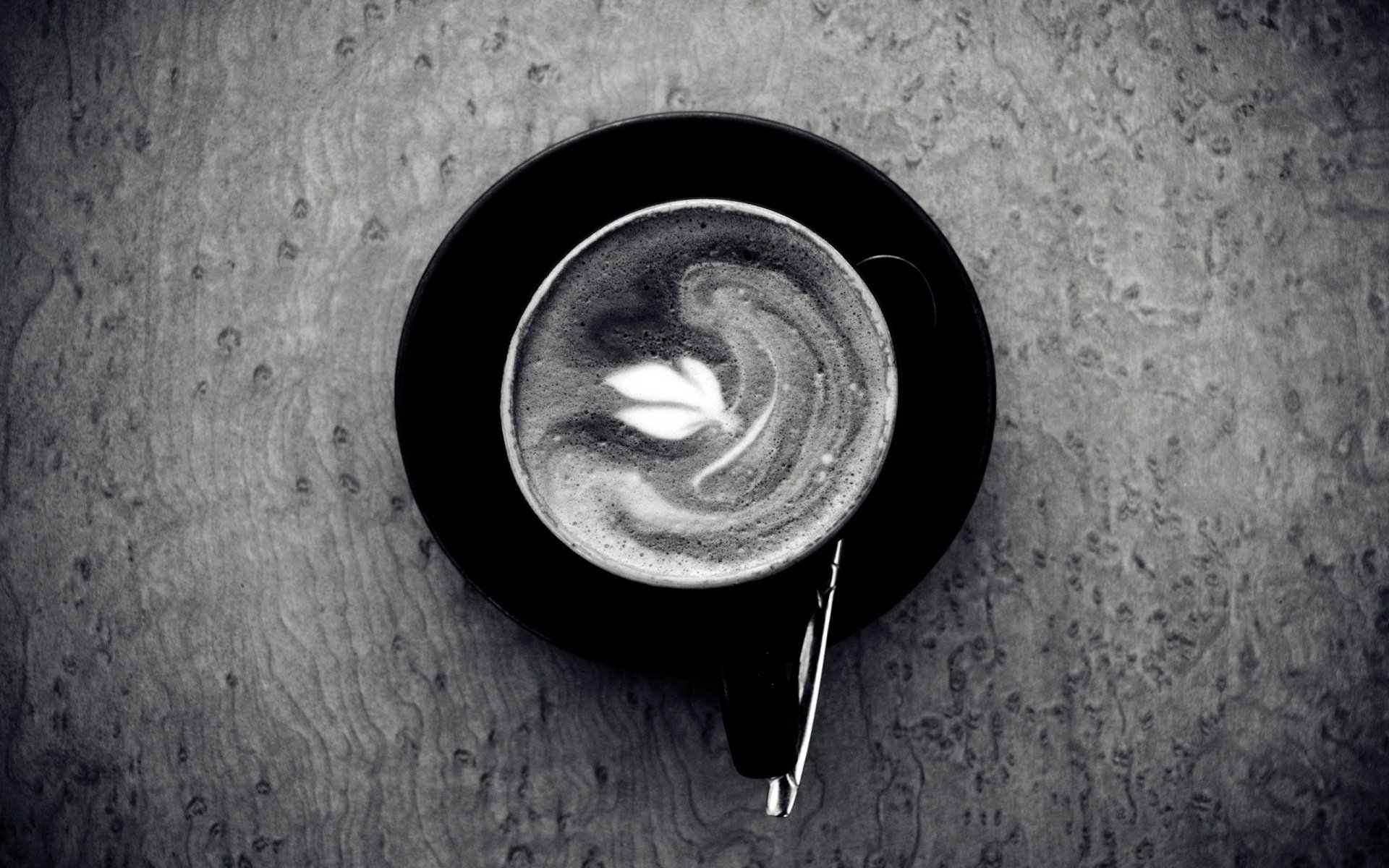 caffè foglia cucchiaio in bianco e nero