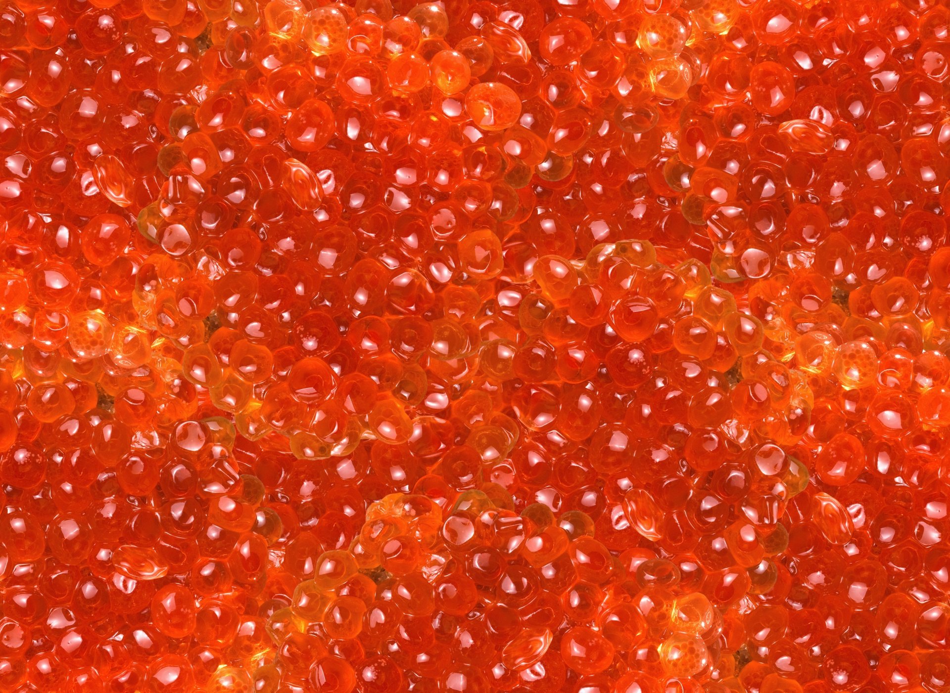 caviar rouge grain délicieux