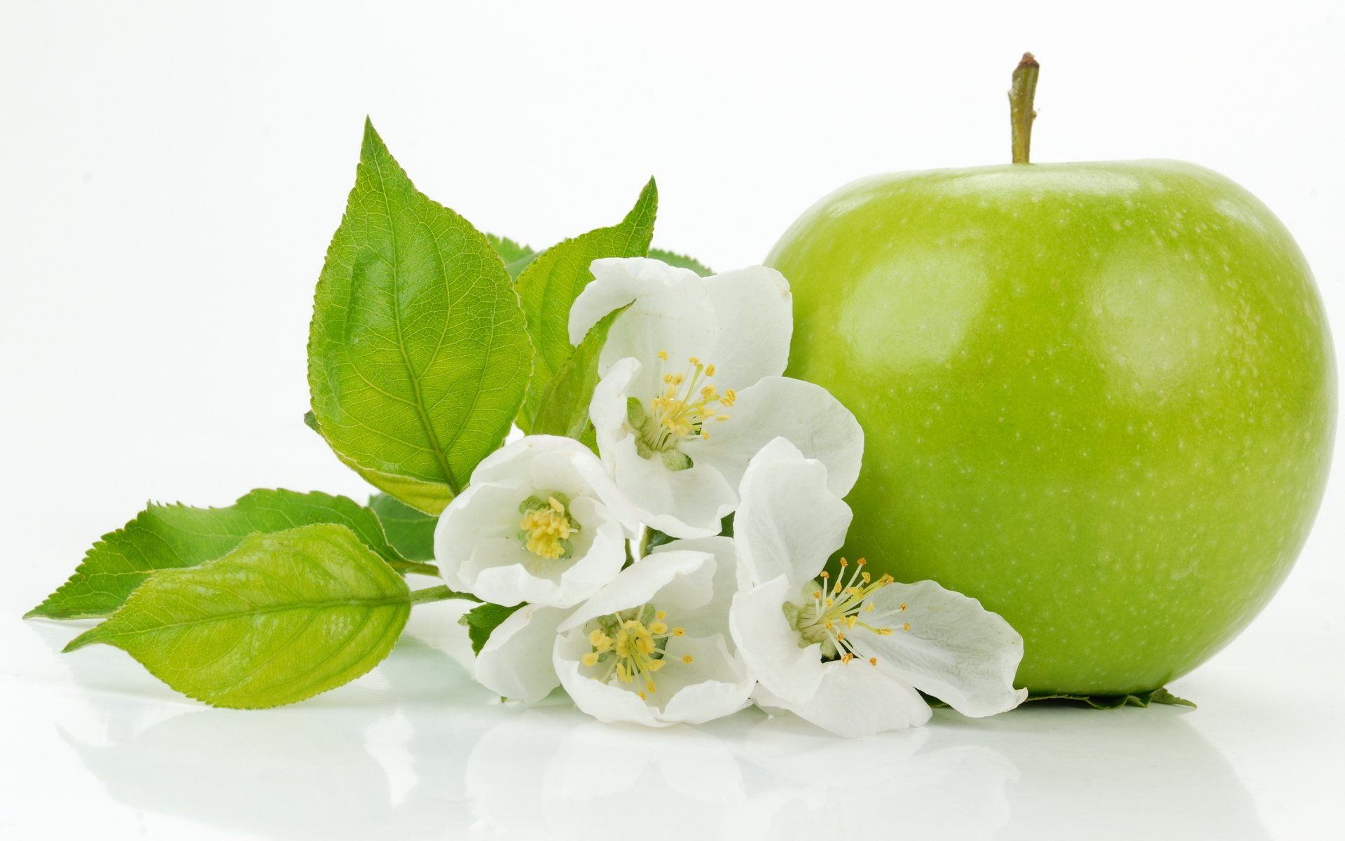 pomme fleurs feuilles
