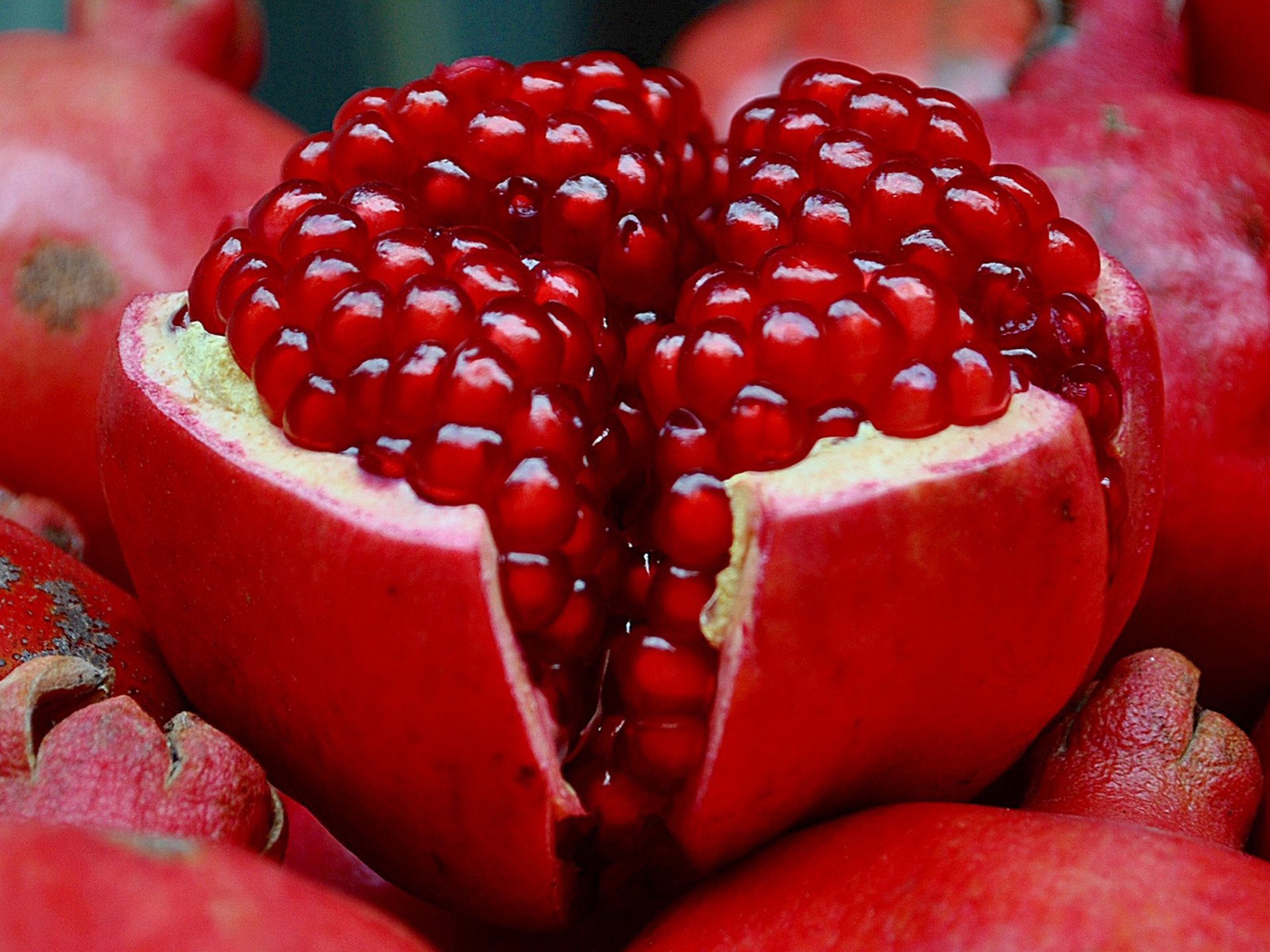 fruta granada granos cáscara