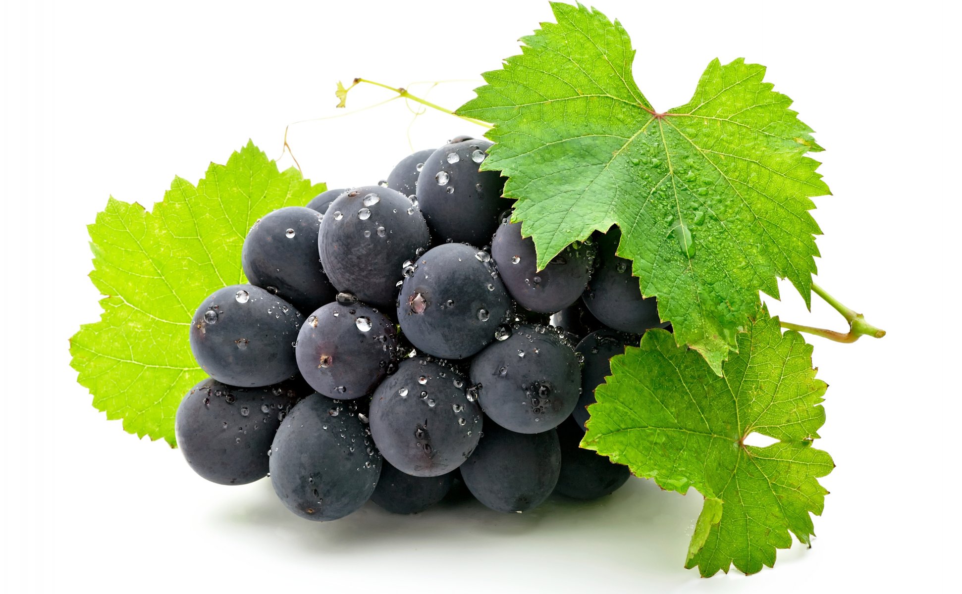 raisin baie grappe feuilles fond blanc