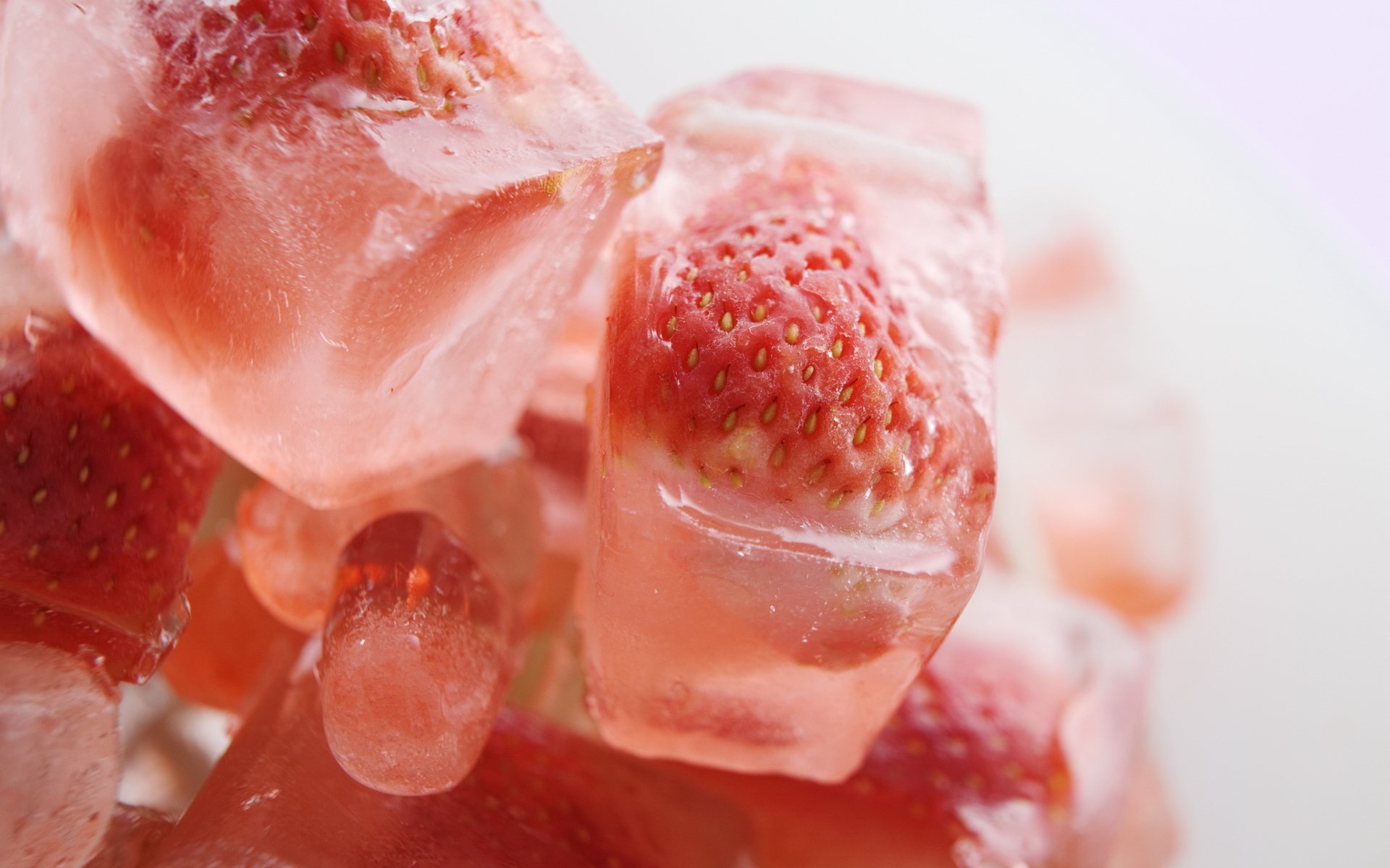 erdbeere makro eis essen beere