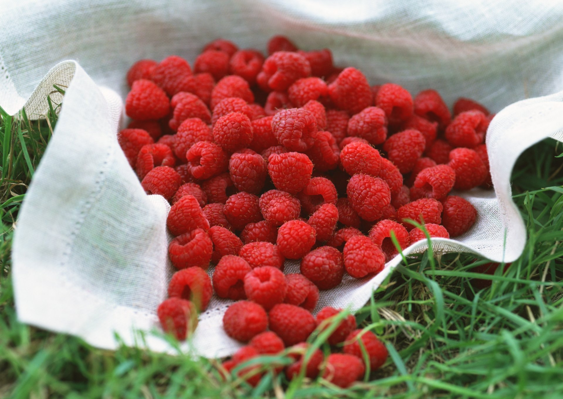raspberry berry yummy many