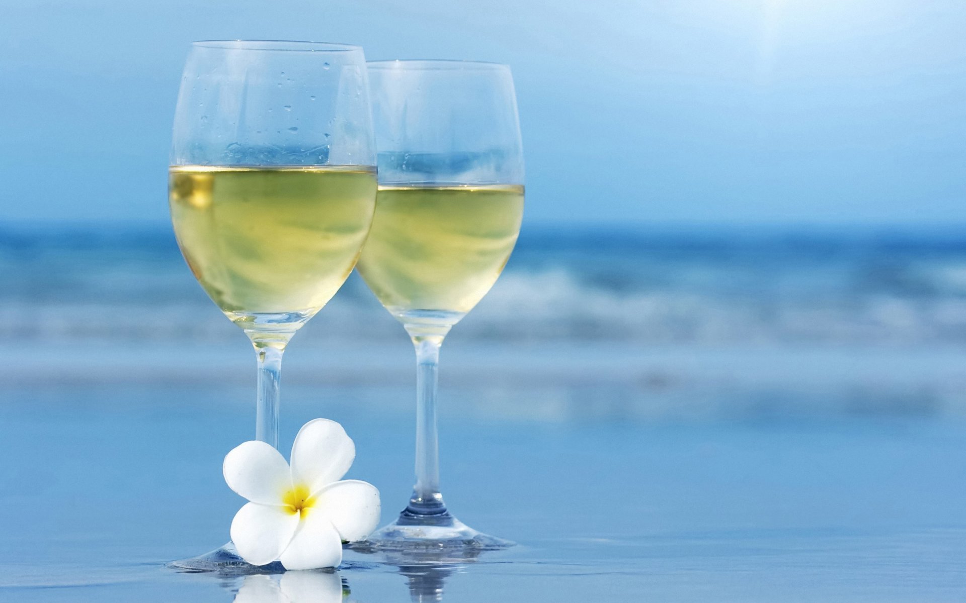 mar copas de vino flor desenfoque