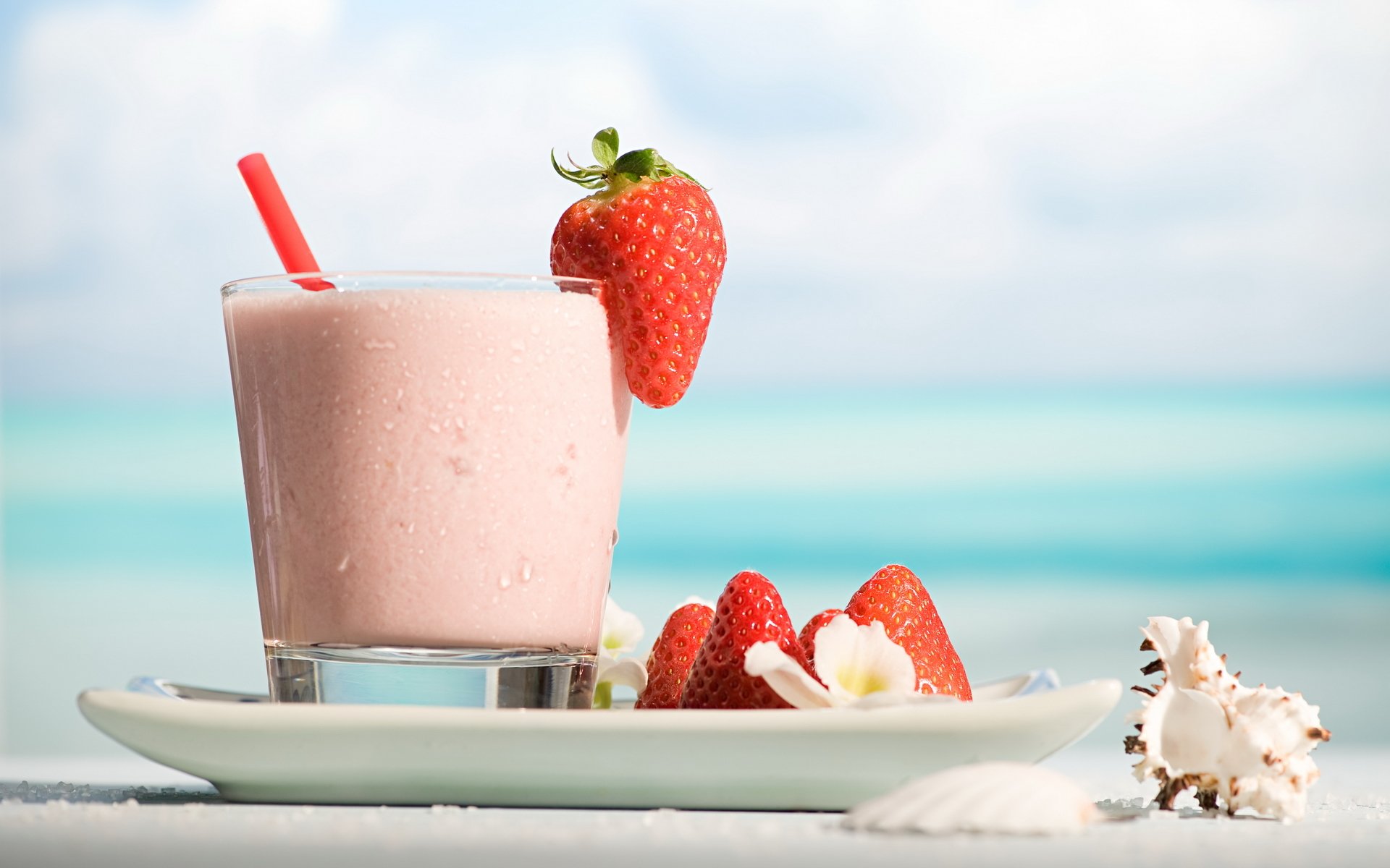 cocktail bevanda bicchiere piatto fragola conchiglia bere vetro piatto conchiglia