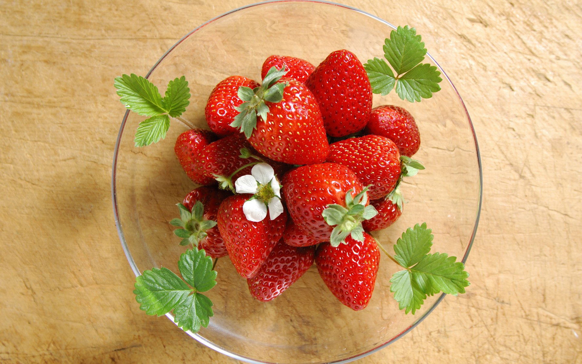 erdbeeren blätter teller lecker 1920x1200 blume erdbeeren