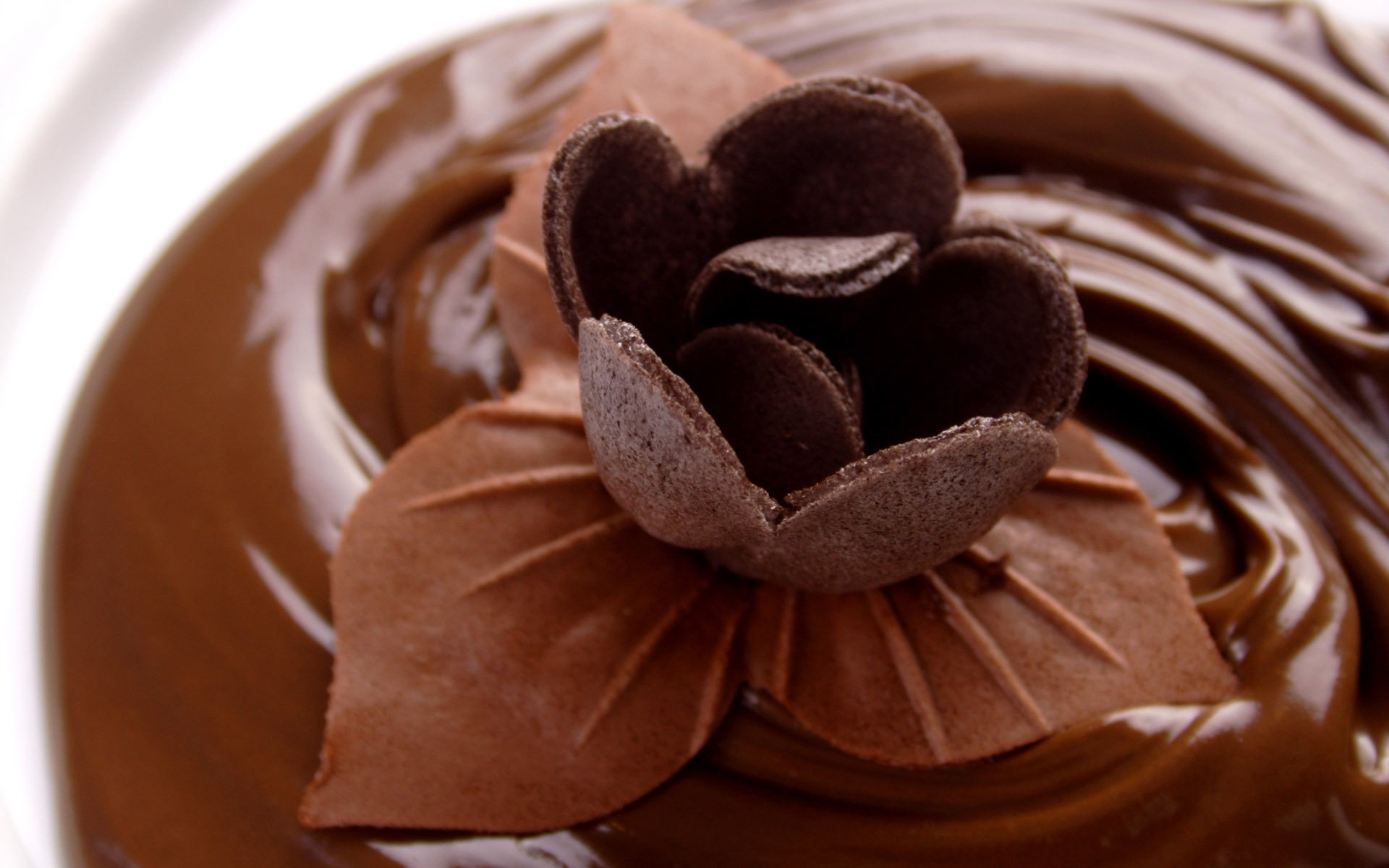 cibo dolce cioccolato. fiore di cioccolato sfondo marrone