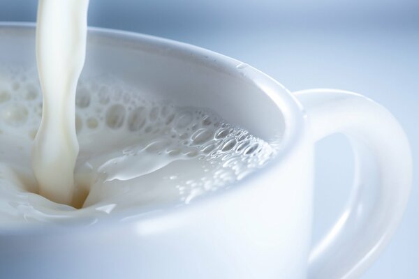 Tasse Milch auf weißem Hintergrund