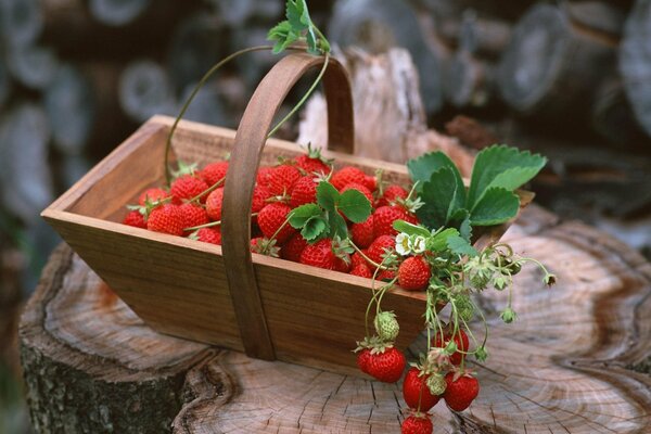 Маленькая деревянная корзинка с красной клубникой