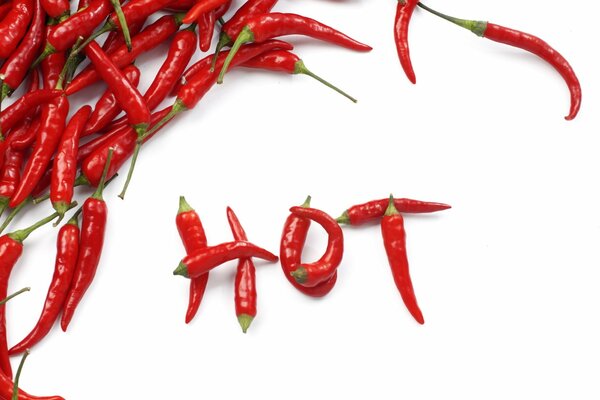 Red Chili pepper on a white background