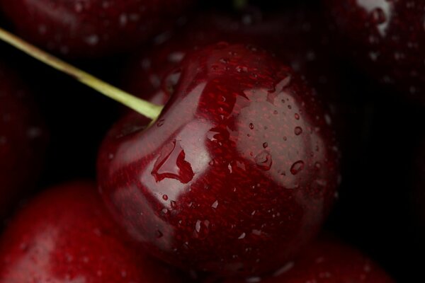 Cerezas dulces de cerca con gotas de agua