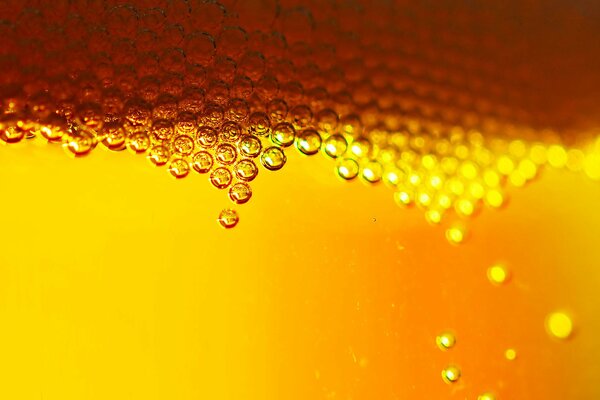 Burbujas de cerveza de oro como panal