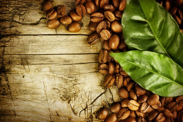 Granos de café y hojas verdes en la superficie de madera