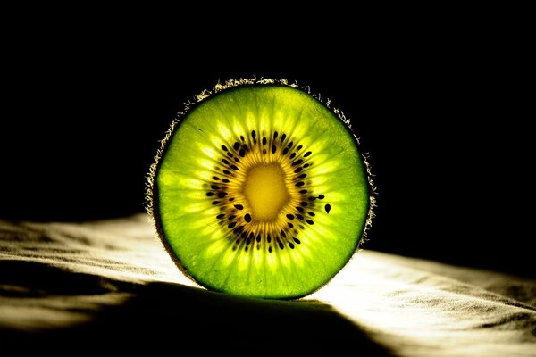 Kiwi in the rays of light