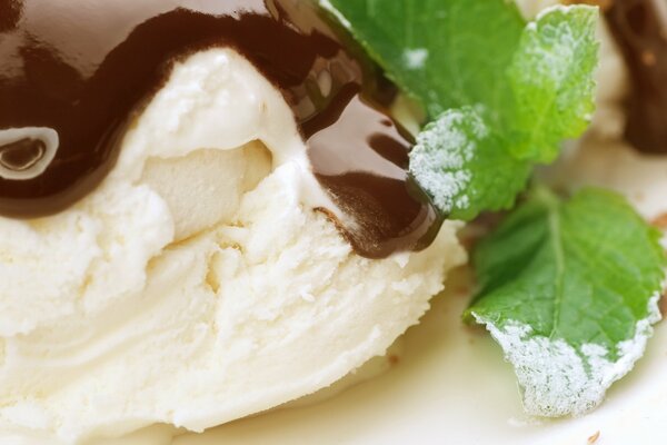 Gelato al cioccolato con foglie di menta